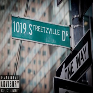 1019 Streetzville Dr