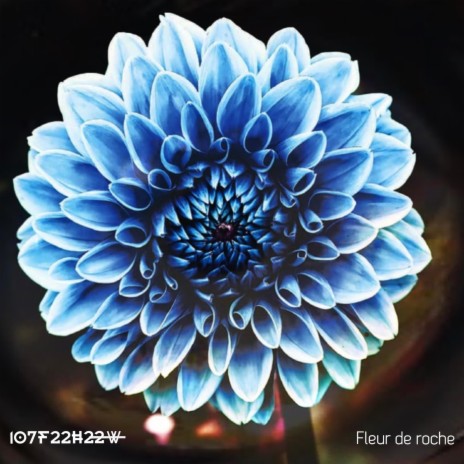 Fleur de roche | Boomplay Music