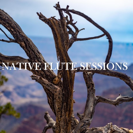 Native Flute Sessions (T’áá hwó’ ají t’éego)