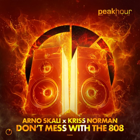 Don't Mess With The 808 (Radio Edit) ft. Kriss Norman | Boomplay Music