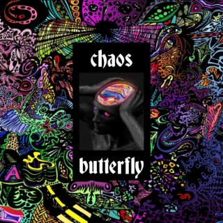 CHAOS BUTTERFLY