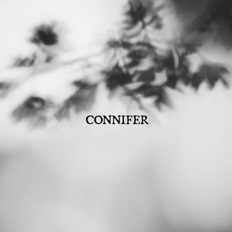 Connifer | Boomplay Music