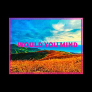 WOULD YOU MIND