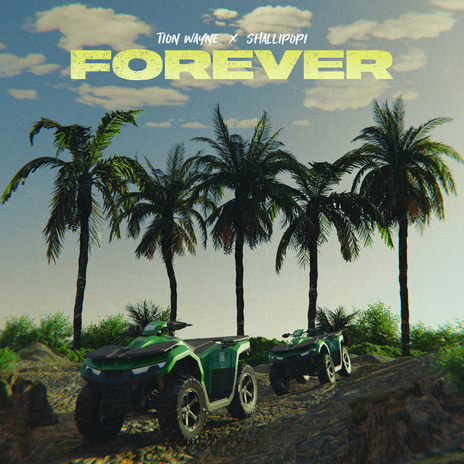 Forever (feat. Shallipopi) | Boomplay Music