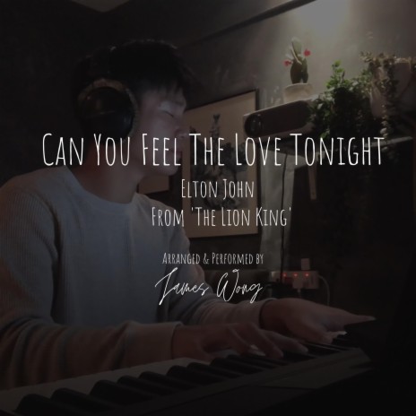 Can You Feel The Love Tonight | Piano Cover | Boomplay Music