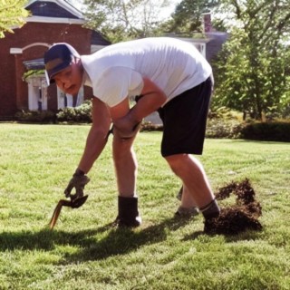 Pulling Grass and Scraping Bricks