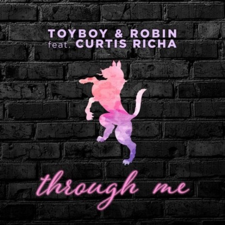 Through Me (Radio Edit) ft. Robin & Toyboy | Boomplay Music