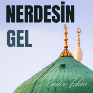 Nerdesin Gel