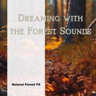 Dreaming with the Forest Sounds