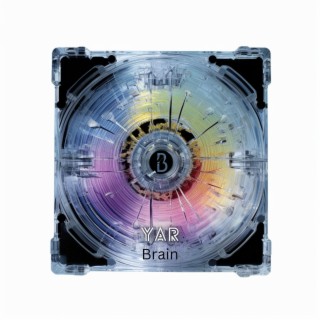 Brain