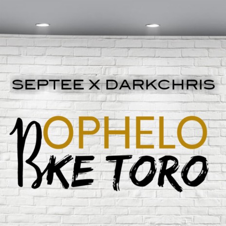 Bophelo Ke Toro ft. Darkchris