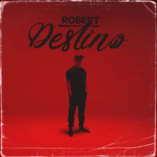 Destino lyrics | Boomplay Music