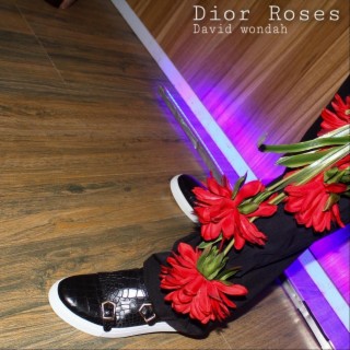 Dior Roses