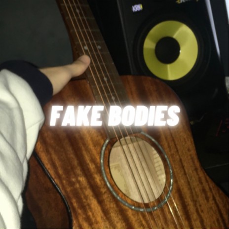 Fake Bodies | Boomplay Music