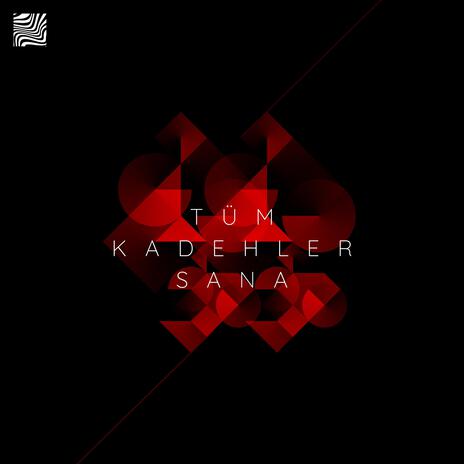 Tüm Kadehler Sana | Boomplay Music