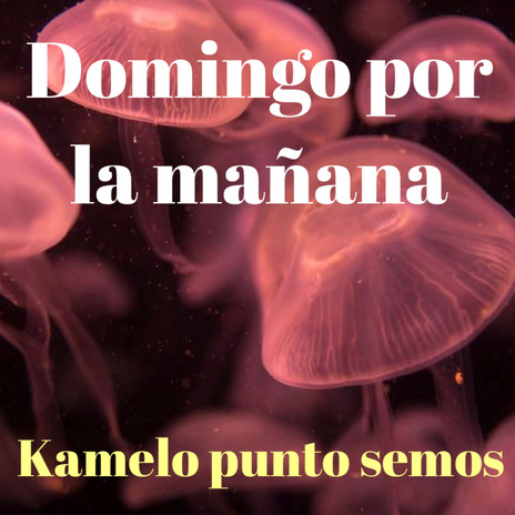 Domingo Por La Mañana | Boomplay Music