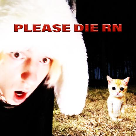 PLEASE DIE RN | Boomplay Music