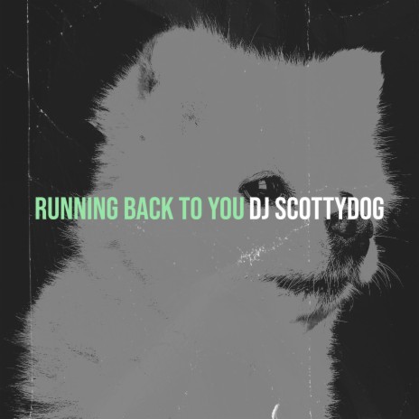 Running Back to You | Boomplay Music