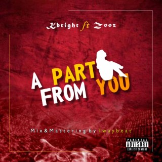 A part from you (Remix) ft. Zooz lyrics | Boomplay Music