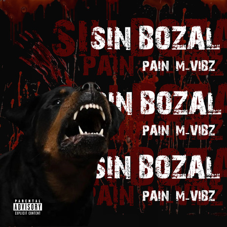 Sin Bozal ft. M-VibZ