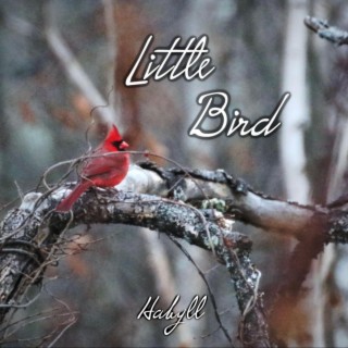 Little Bird