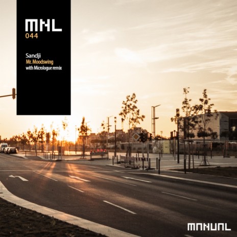 Mr. Moodswing (Micrologue Remix) | Boomplay Music