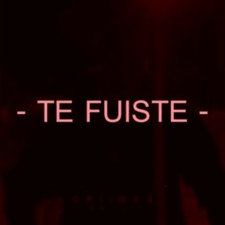 Te Fuiste