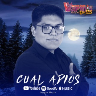 Cual Adios ft. Sergio Mejía lyrics | Boomplay Music