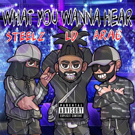 What You Wanna Hear ft. LdTheProducer & Looted Steelz | Boomplay Music