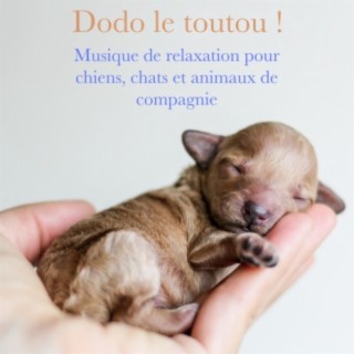 Dodo le toutou! (Musique de relaxation pour chiens, chats et animaux de compagnie)