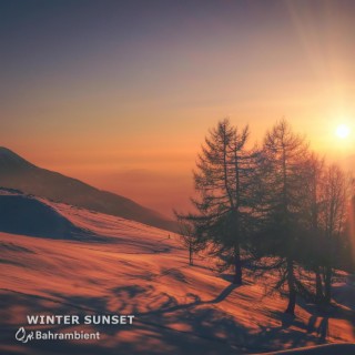 Winter Sunset