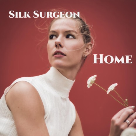 HOME ft. Silk Surgeon | Boomplay Music