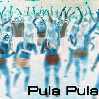 Pula Pula (Baile Funk)