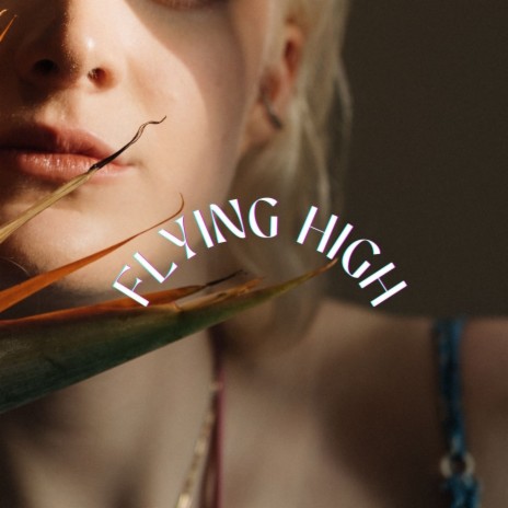 Flying High | Boomplay Music