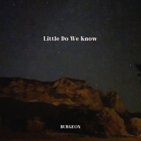 Little Do We Know | Boomplay Music