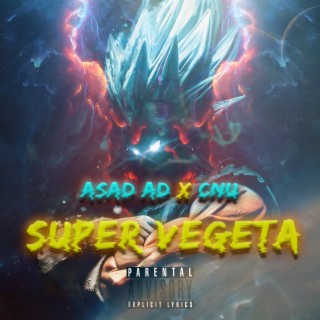 Super Vegeta lyrics | Boomplay Music