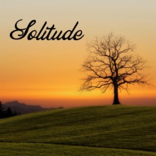 Solitude