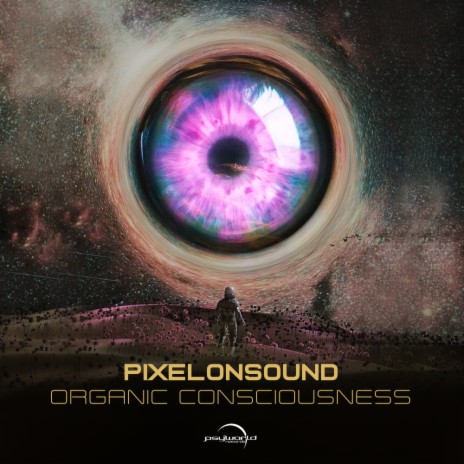 Organic Consciousness (Original Mix) | Boomplay Music