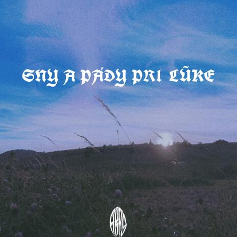 Sny a pády | Boomplay Music