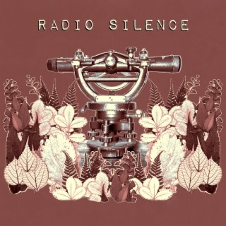 Radio Silence