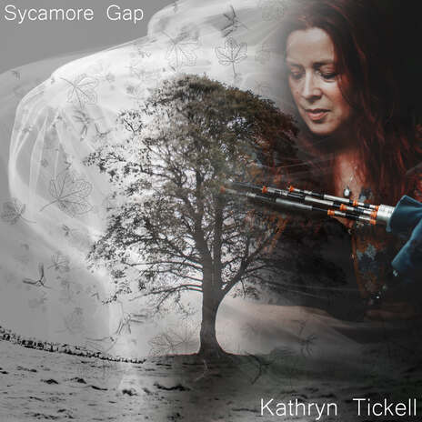 Sycamore Gap | Boomplay Music