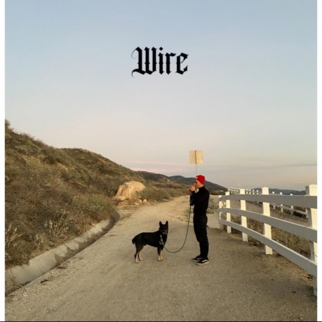 WIRE | Boomplay Music