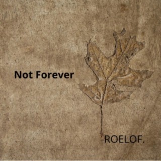 Not Forever