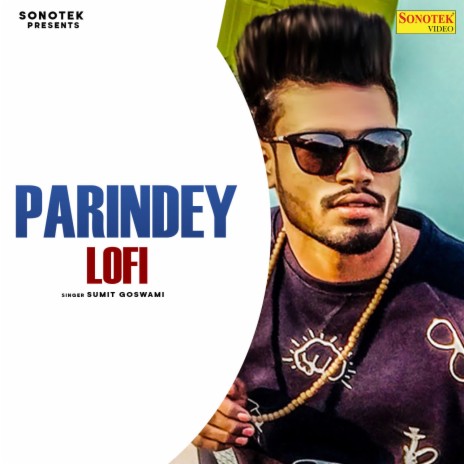 Parindey Lofi | Boomplay Music