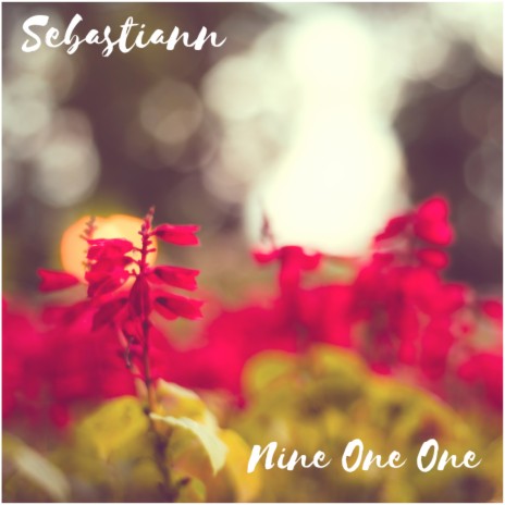 Nine One One (Radio Edit)