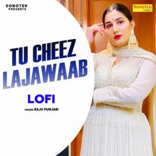 Tu Cheez Lajawaab Lofi Mix