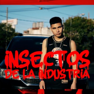 Insectos De La Industria