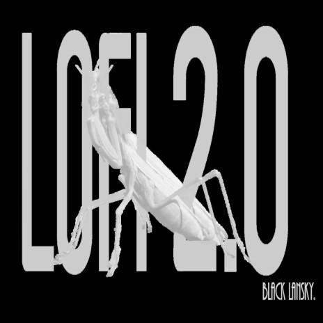 LOFI 2.0 | Boomplay Music