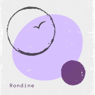 Rondine lyrics | Boomplay Music