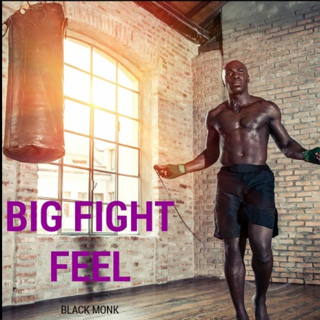 Big Fight Feel | Boomplay Music